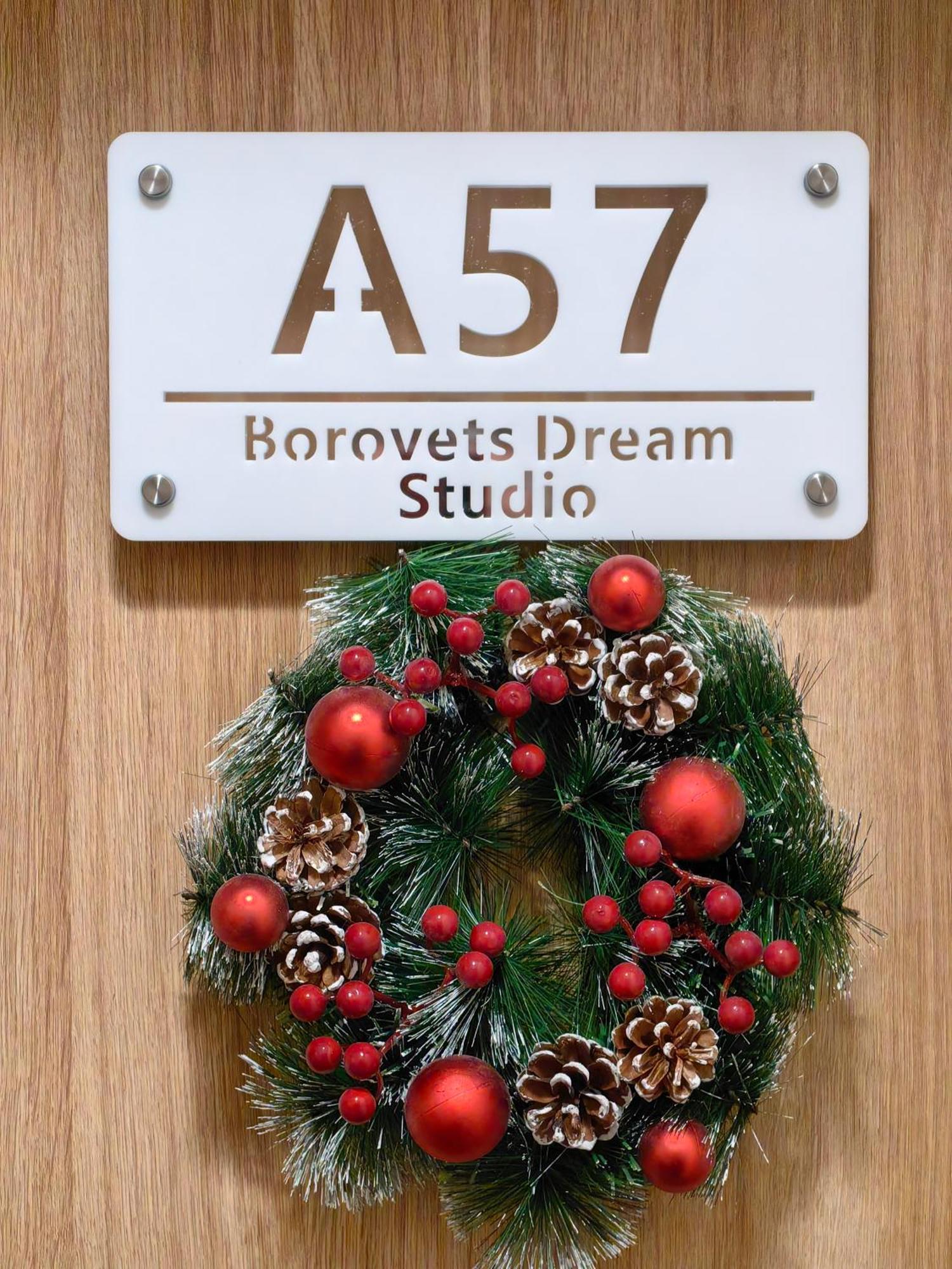 Borovets Dream Studio Extérieur photo